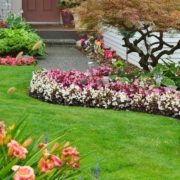 Does Landscaping Add Value to a Home? 10 Landscaping Projects to Increase Your Property Value