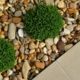 Outdoor Landscaping Guide: How Much Does a 20x20 Paver Patio Cost?